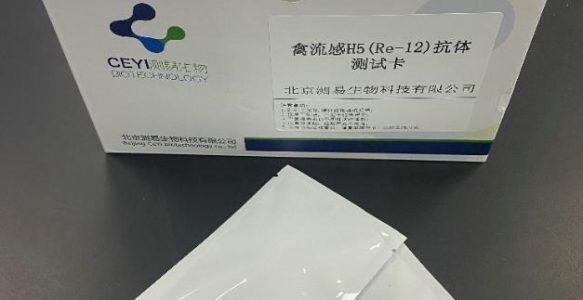 禽流感H5（Re-12）抗体测试卡