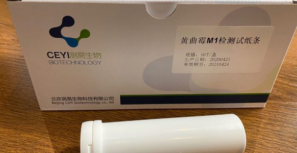 黄曲霉B1检测试纸条 96T