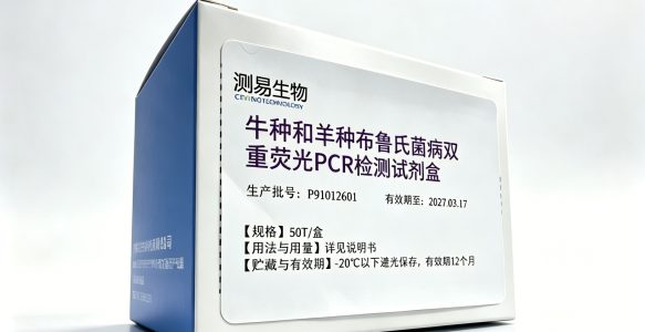 牛种和羊种布鲁氏菌病双重荧光PCR检测试剂盒