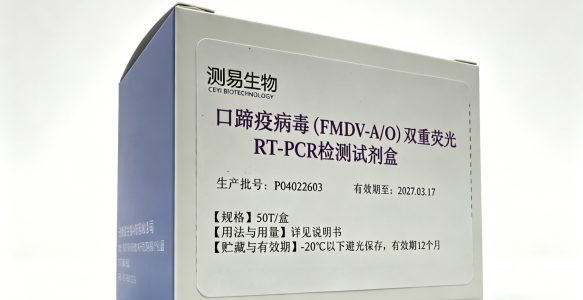 口蹄疫病毒（FMDV-A/O）双重荧光RT-PCR检测试剂盒